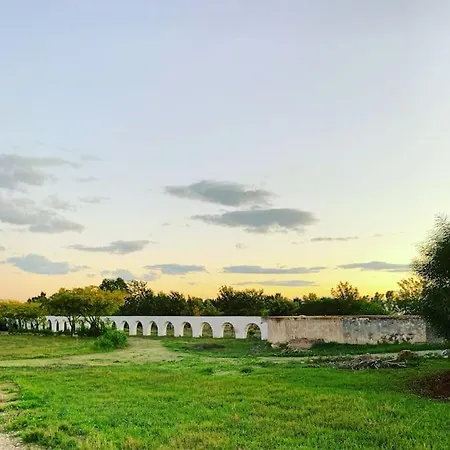 Garden On Organic Yoga Farm Near Fuseta