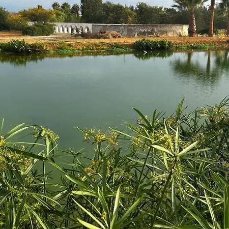 Garden On Organic Yoga Farm Near Fuseta