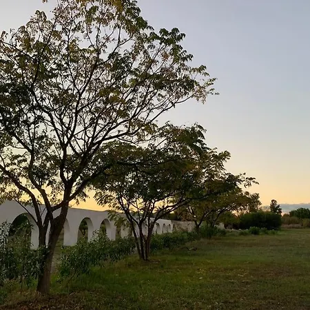 Garden On Organic Yoga Farm Near Fuseta * Монкарапашу