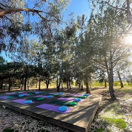 Garden On Organic Yoga Farm Near Fuseta Appartement Moncarapacho