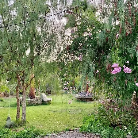 Garden On Organic Yoga Farm Near Fuseta *