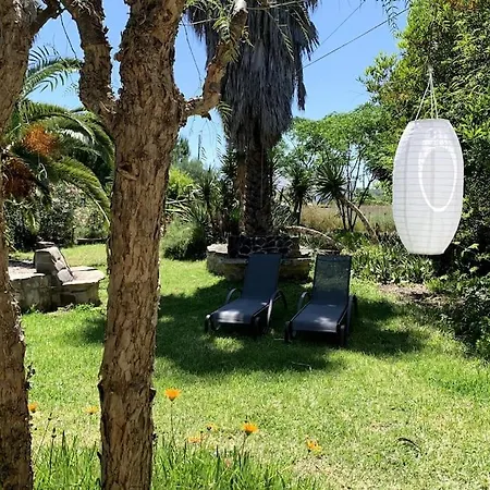 Garden On Organic Yoga Farm Near Fuseta Апартаменты